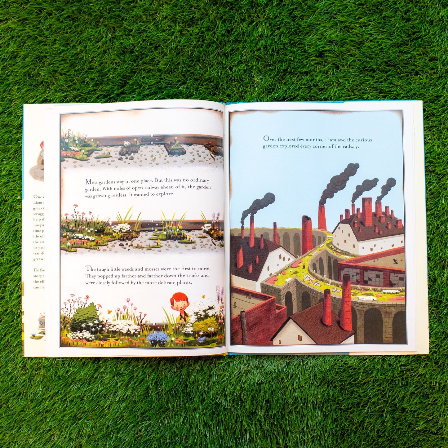 The Curious Garden