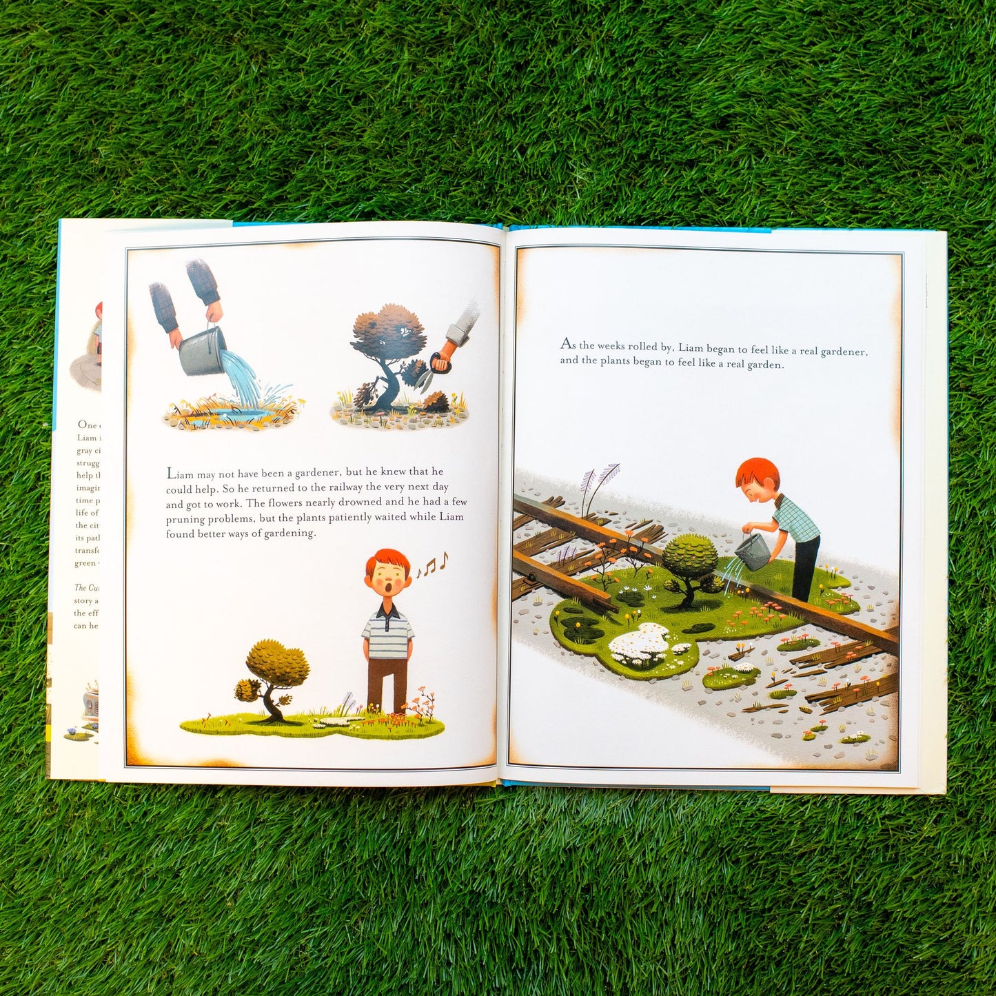 The Curious Garden