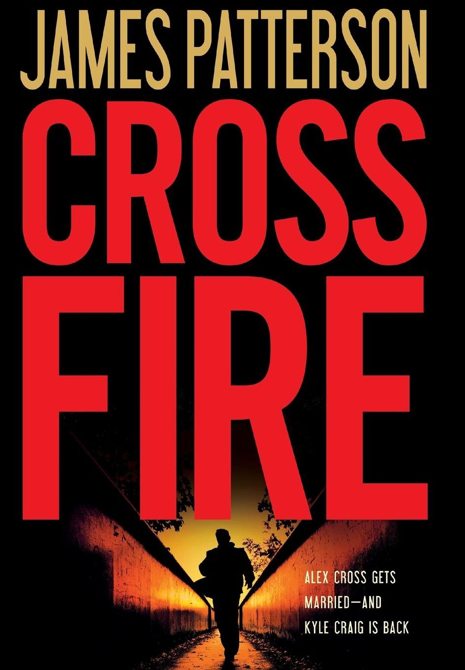 Cross Fire (Alex Cross Series #17)