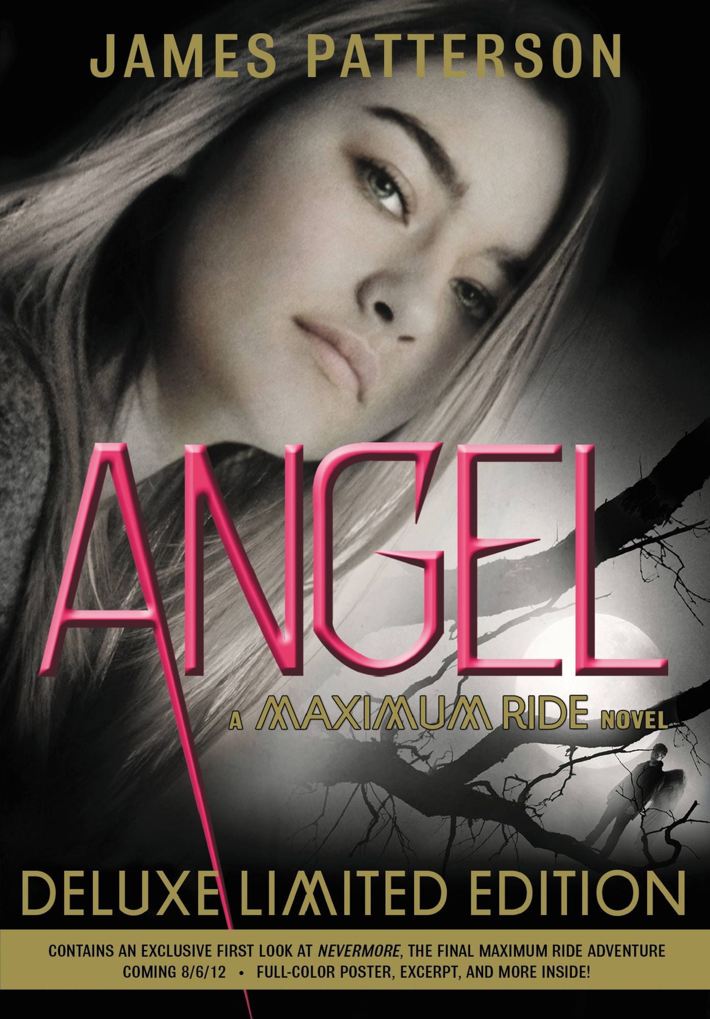 Angel (Maximum Ride Series #7)