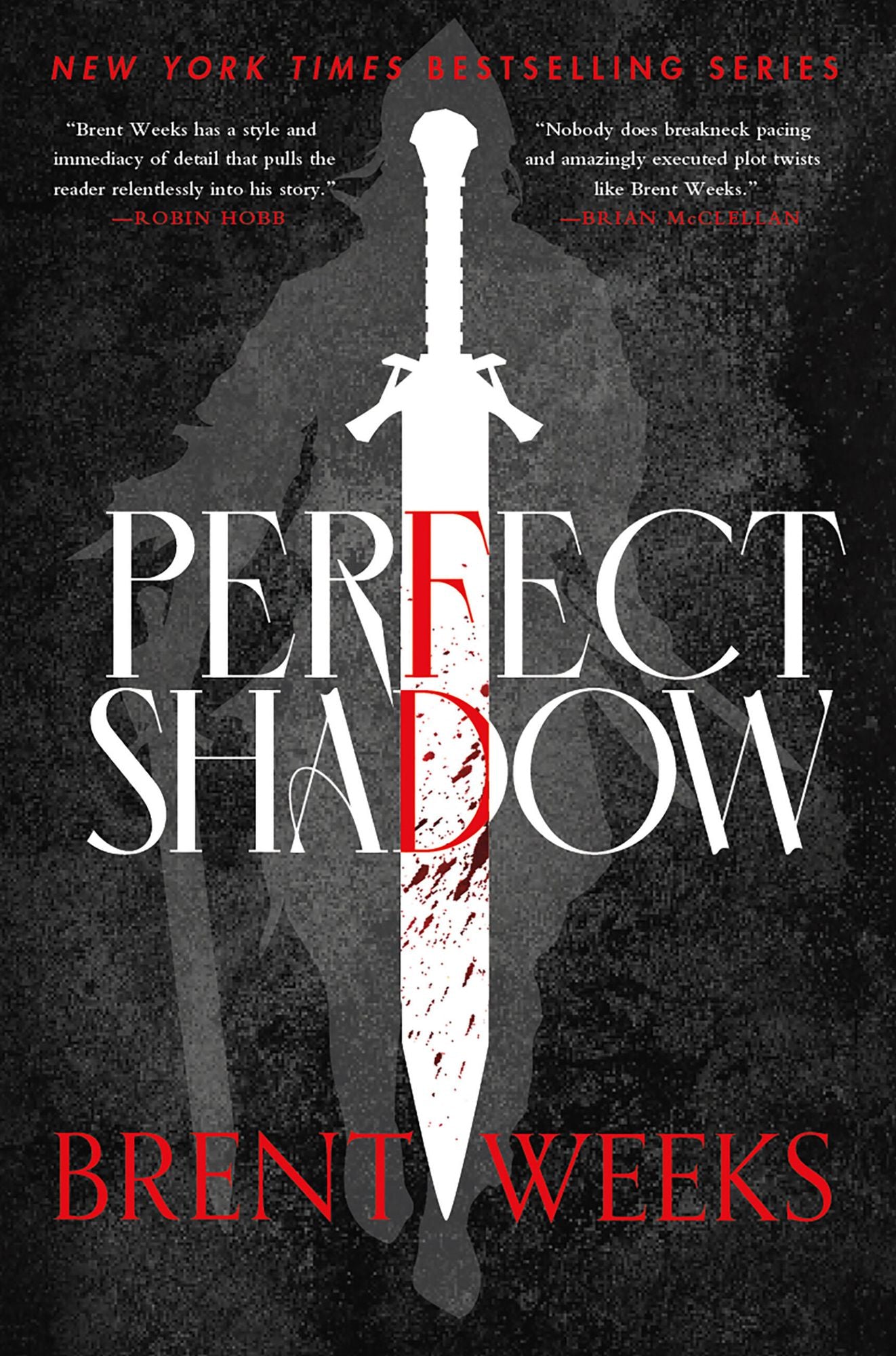 Perfect Shadow: A Night Angel Novella
