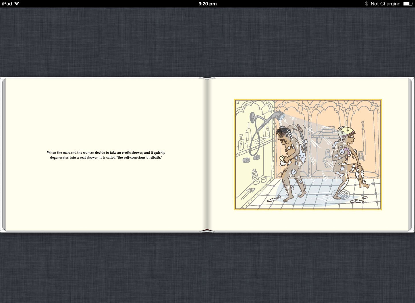 The Married Kama Sutra: The World's Least Erotic Sex Manual