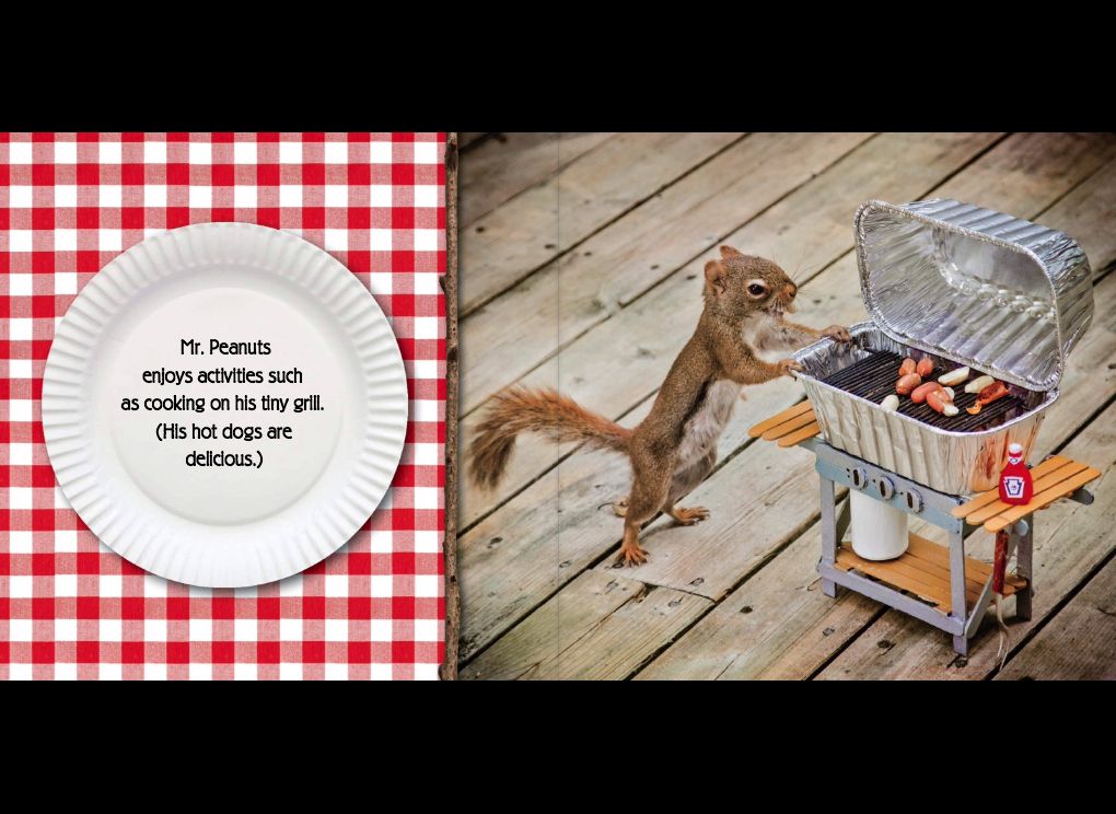 The Secret Life of Squirrels