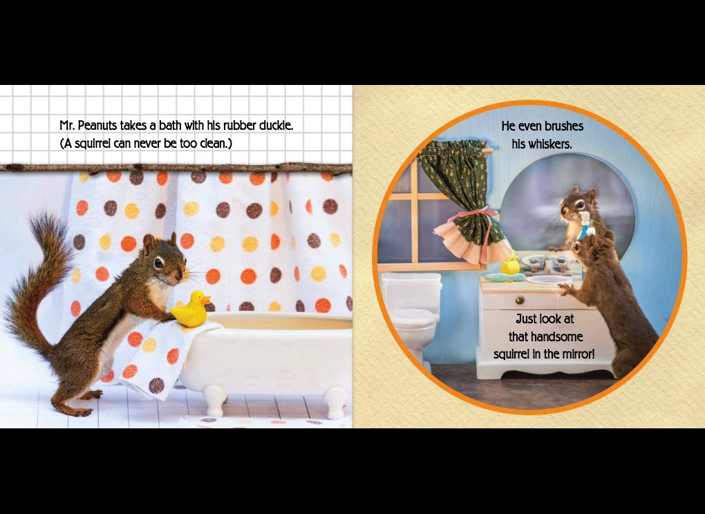 The Secret Life of Squirrels