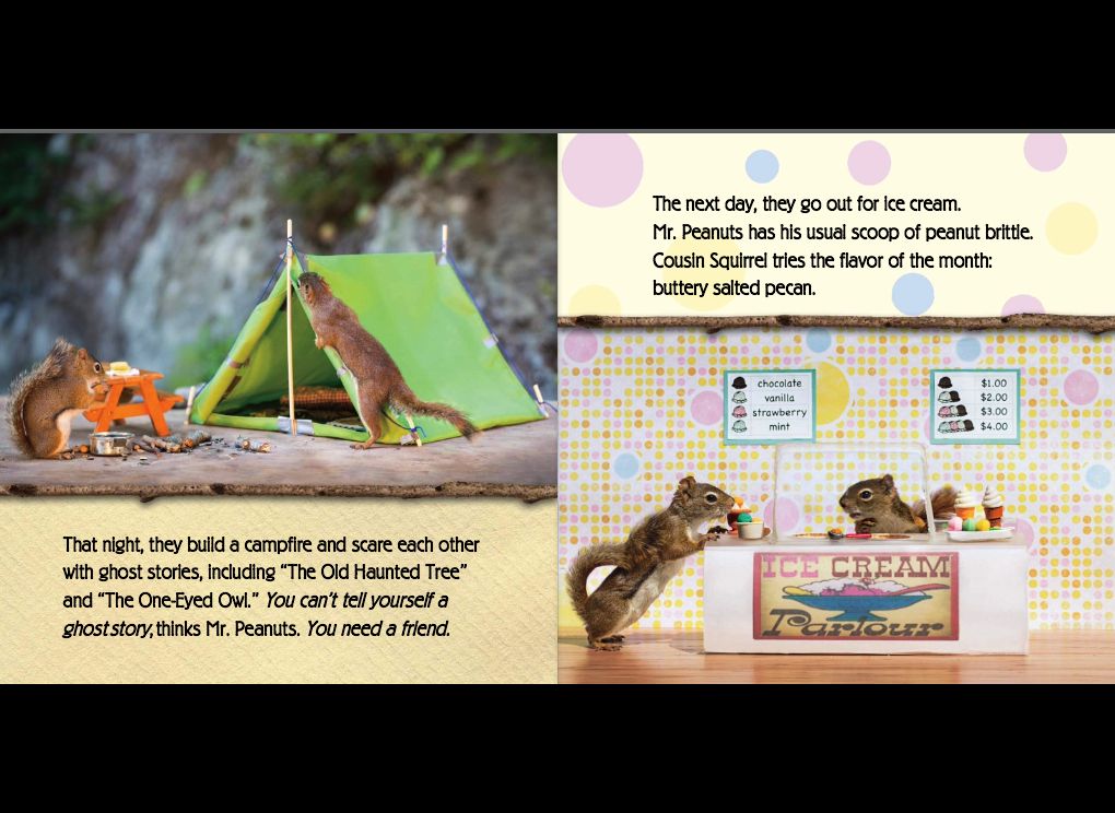 The Secret Life of Squirrels