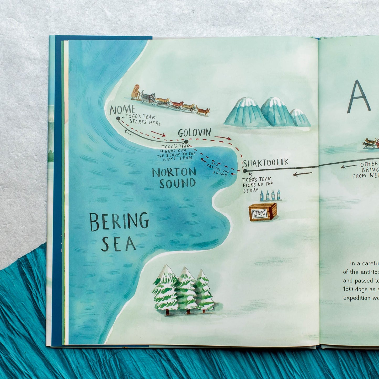 Togo to the Rescue: How a Heroic Husky Saved the Lives of Children in Alaska