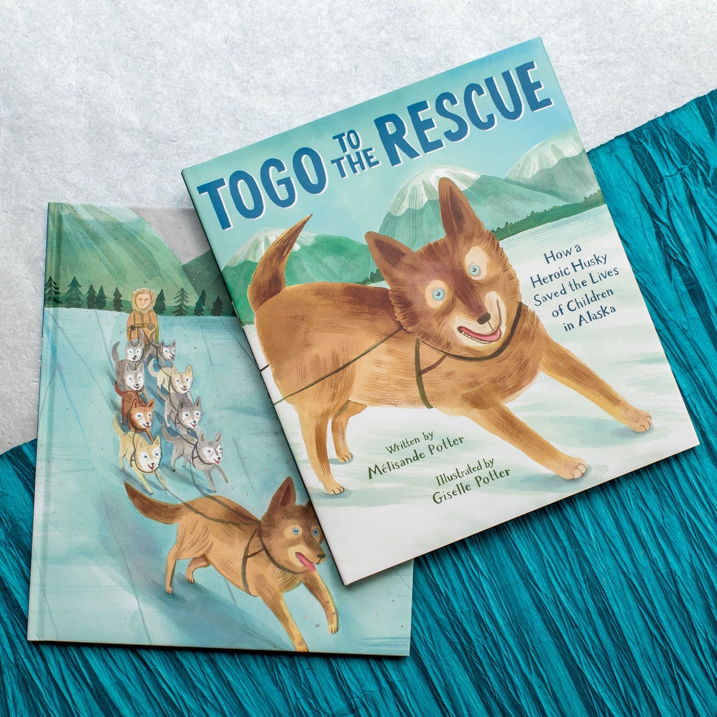 Togo to the Rescue: How a Heroic Husky Saved the Lives of Children in Alaska