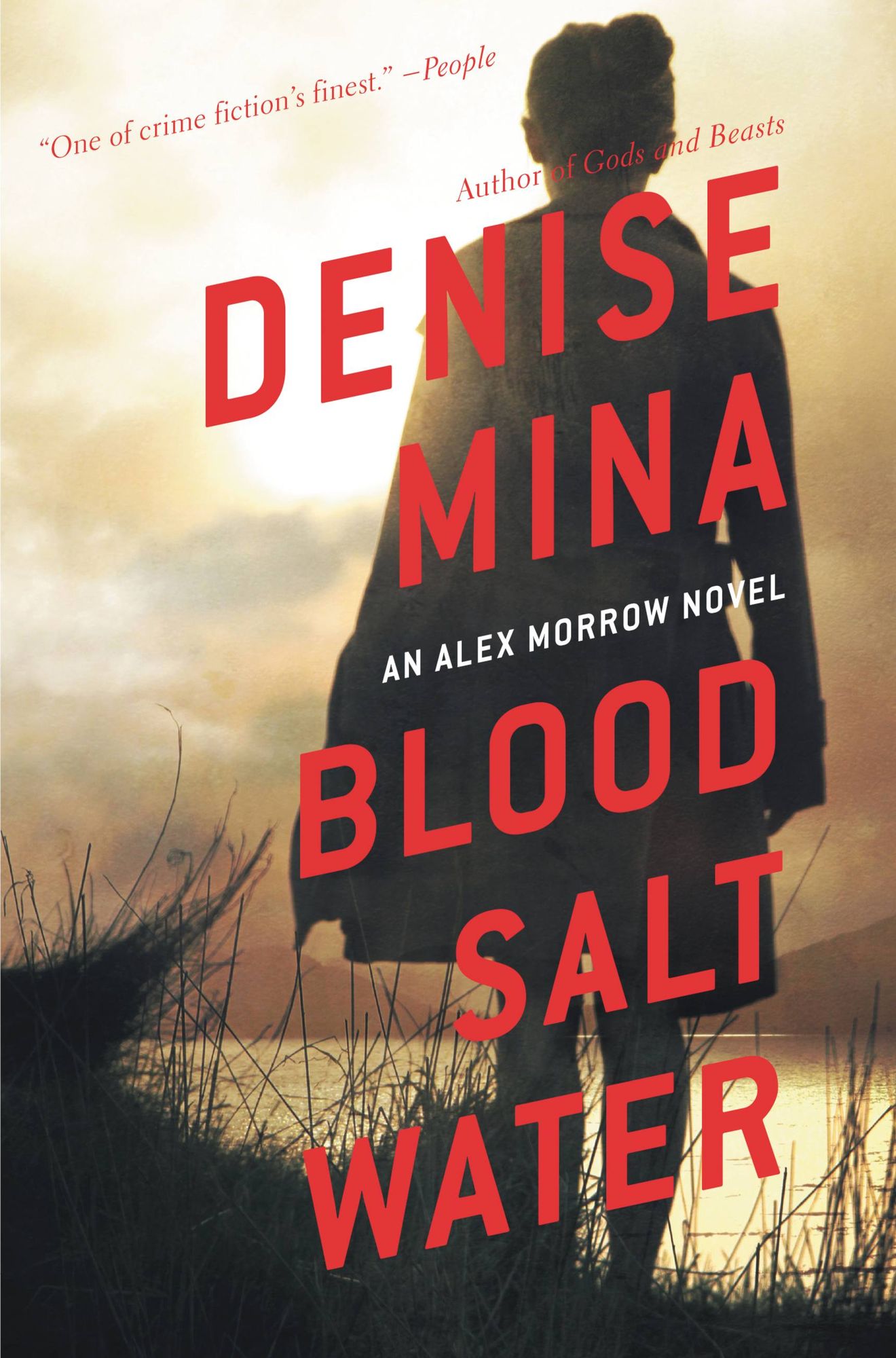 Blood, Salt, Water (Alex Morrow Series #5)