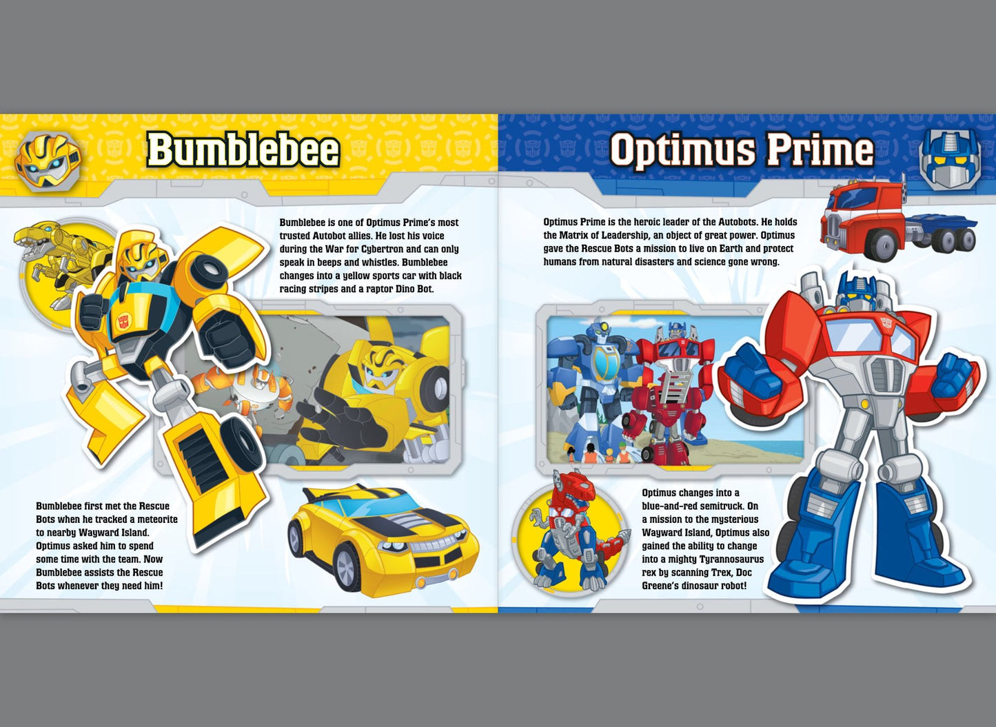 Transformers Rescue Bots: Meet Griffin Rock Rescue: Character Guide