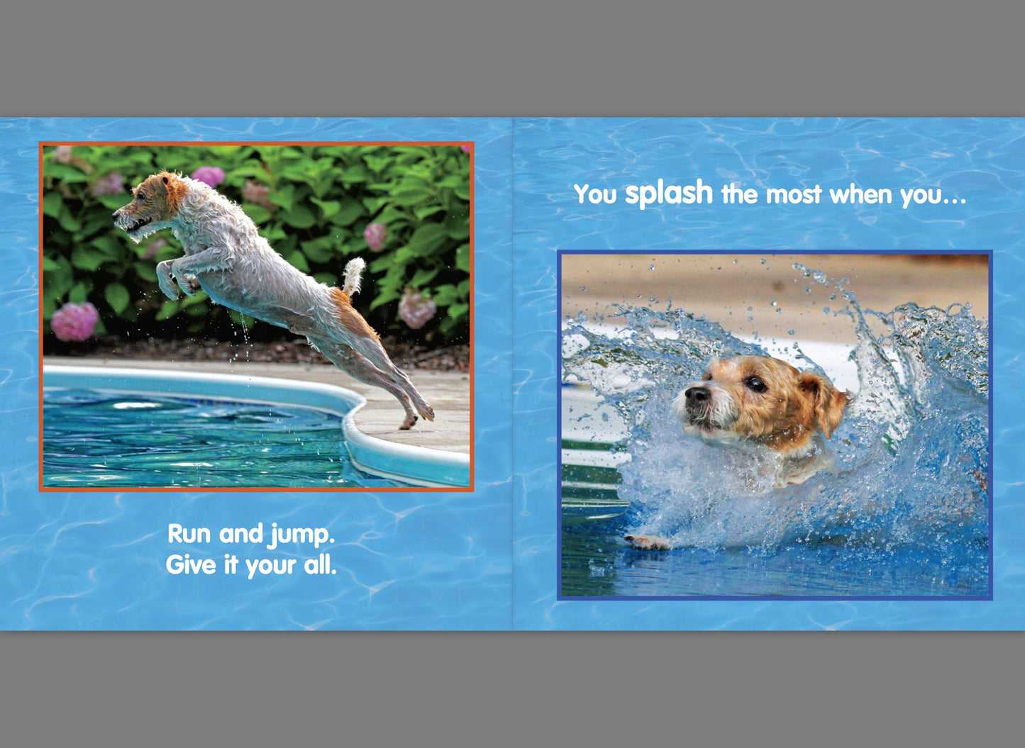 Puppy Pool Party!: An Underwater Dogs Adventure