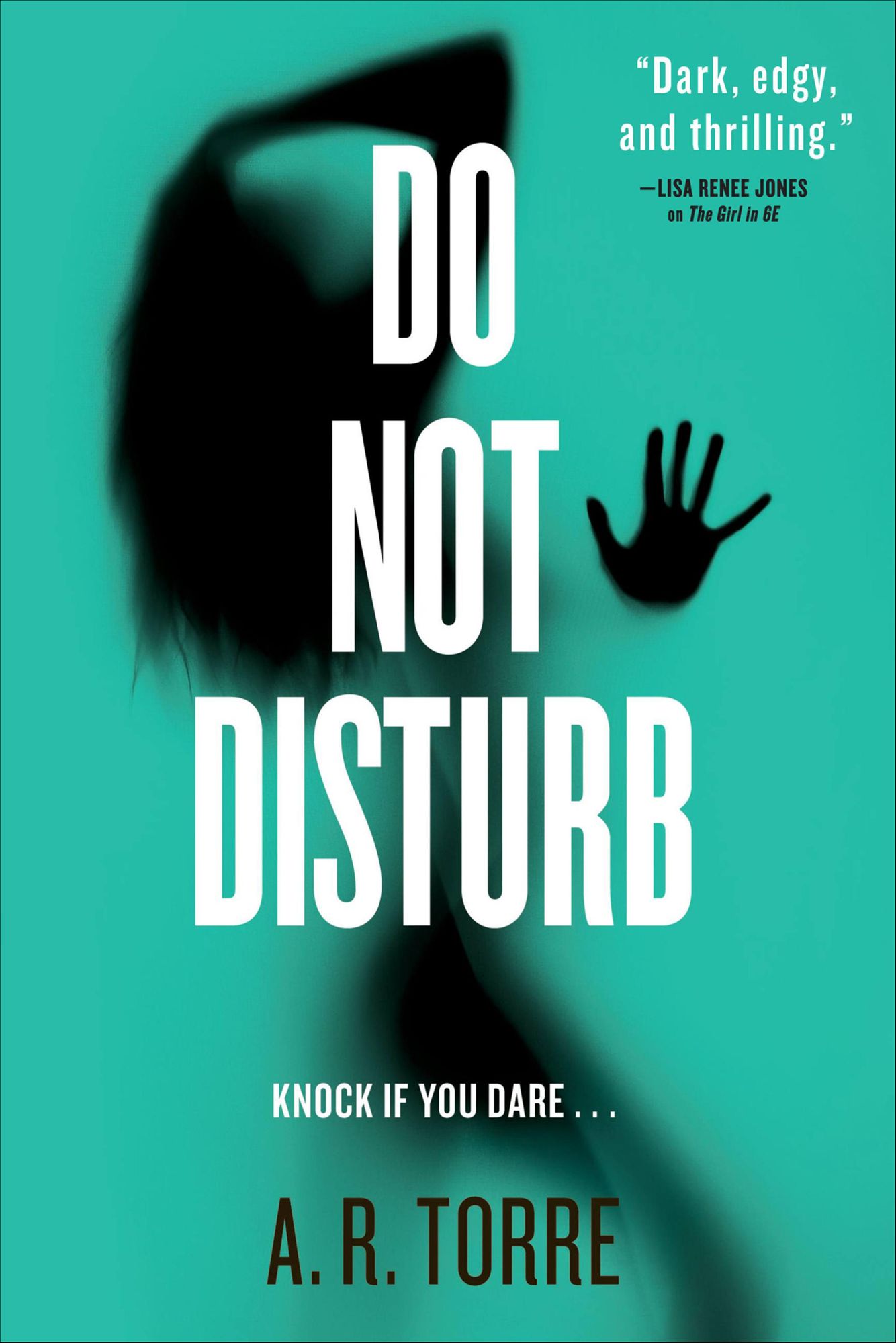 Do Not Disturb (Deanna Madden Series #2)