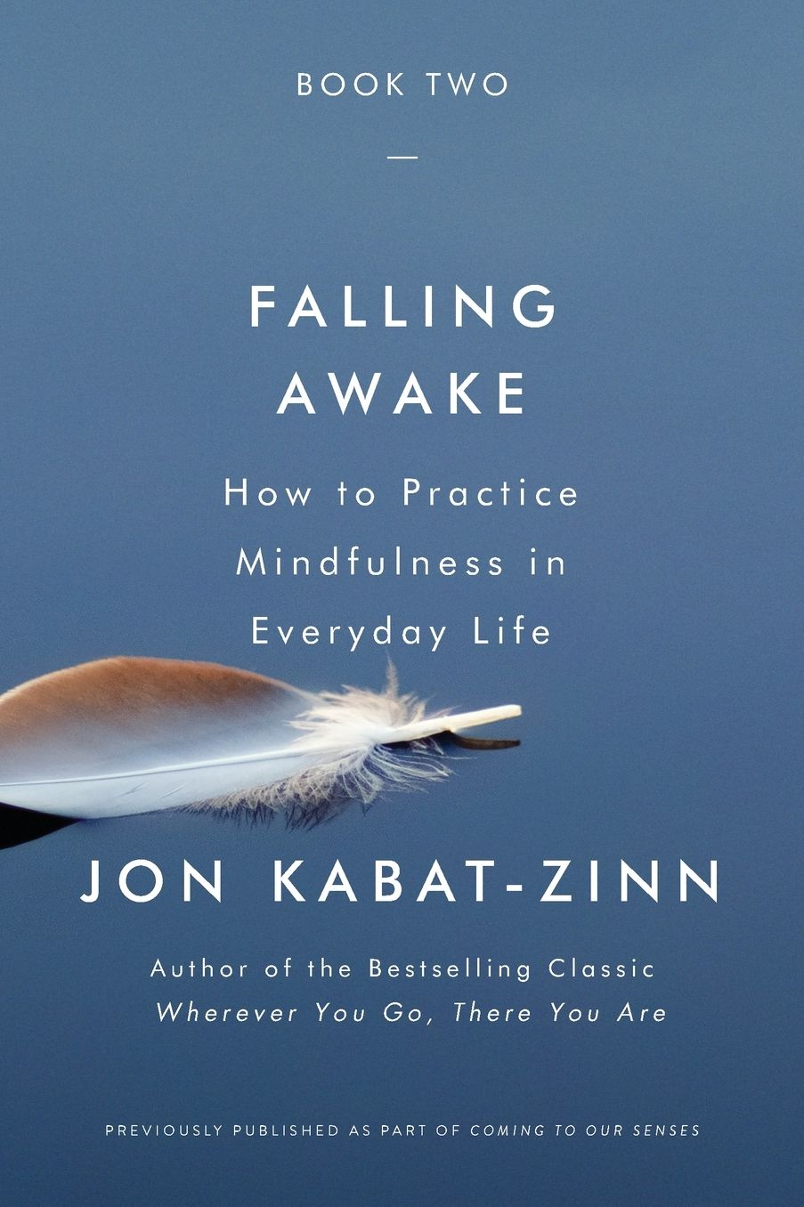Falling Awake: How to Practice Mindfulness in Everyday Life