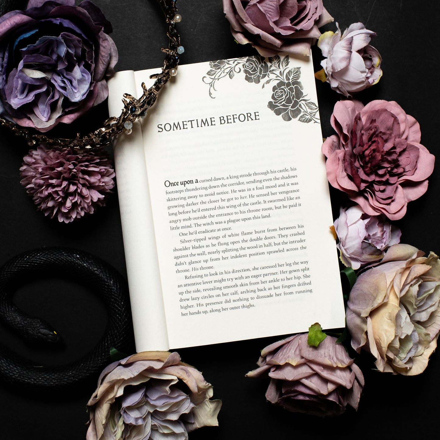 Kingdom of the Cursed (Kingdom of the Wicked Series #2)