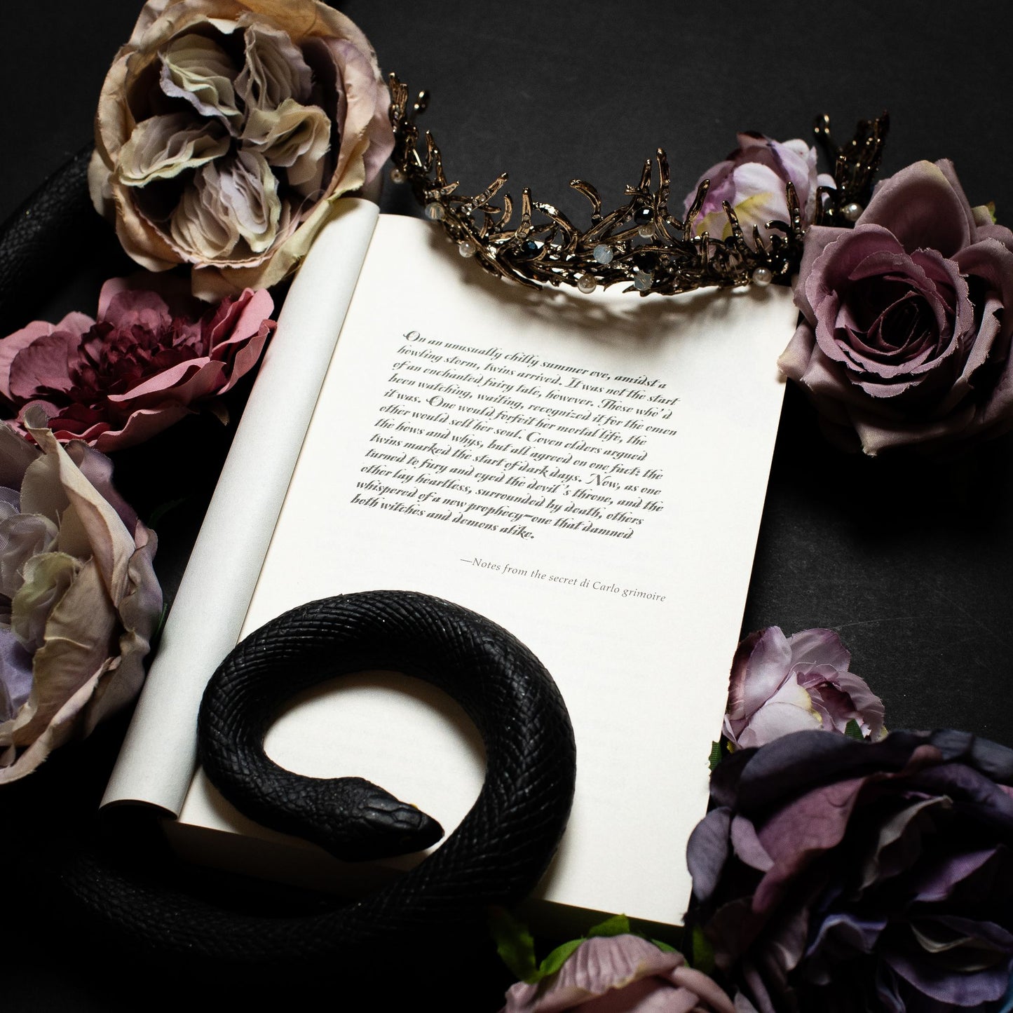 Kingdom of the Cursed (Kingdom of the Wicked Series #2)