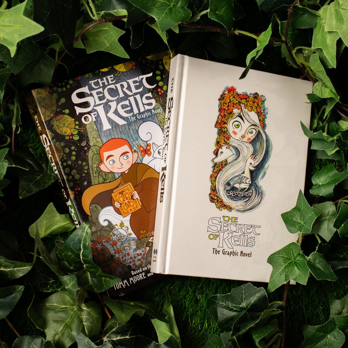 The Secret of Kells: The Graphic Novel