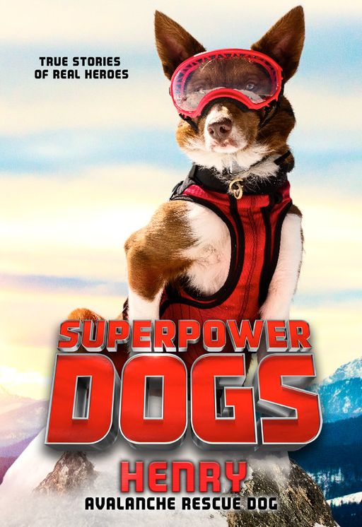 Henry : Avalanche Rescue Dog