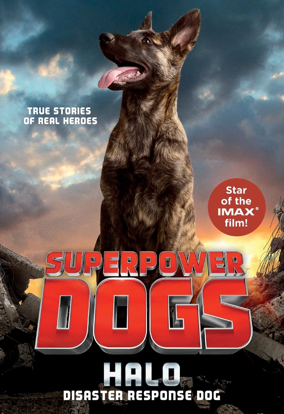 Superpower Dogs Halo : Disaster Response Dog
