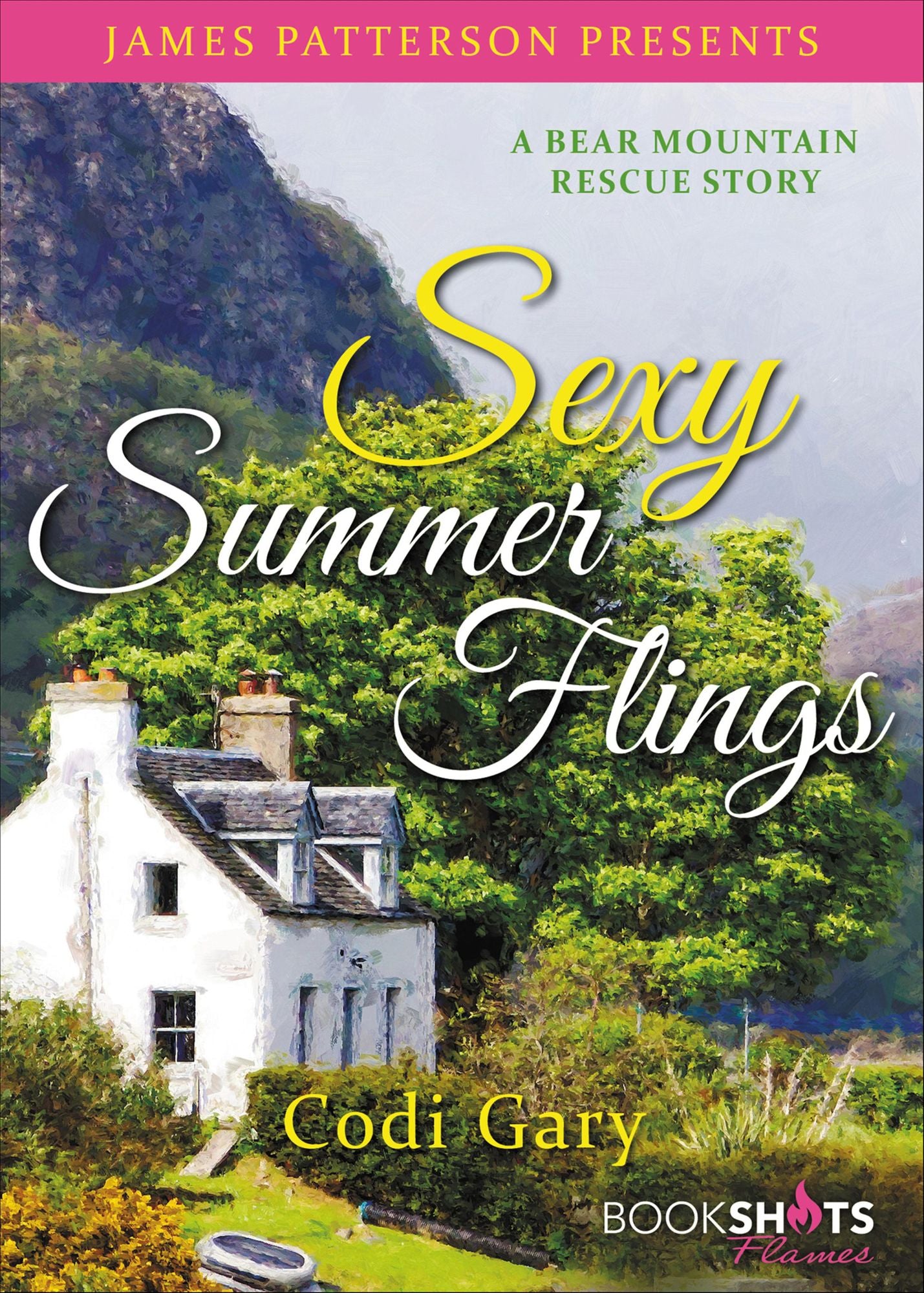 Sexy Summer Flings: A Bear Mountain Rescue Story