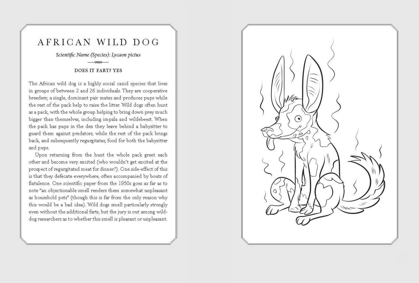 Does It Fart?: The Definitive Field Guide to Animal Flatulence