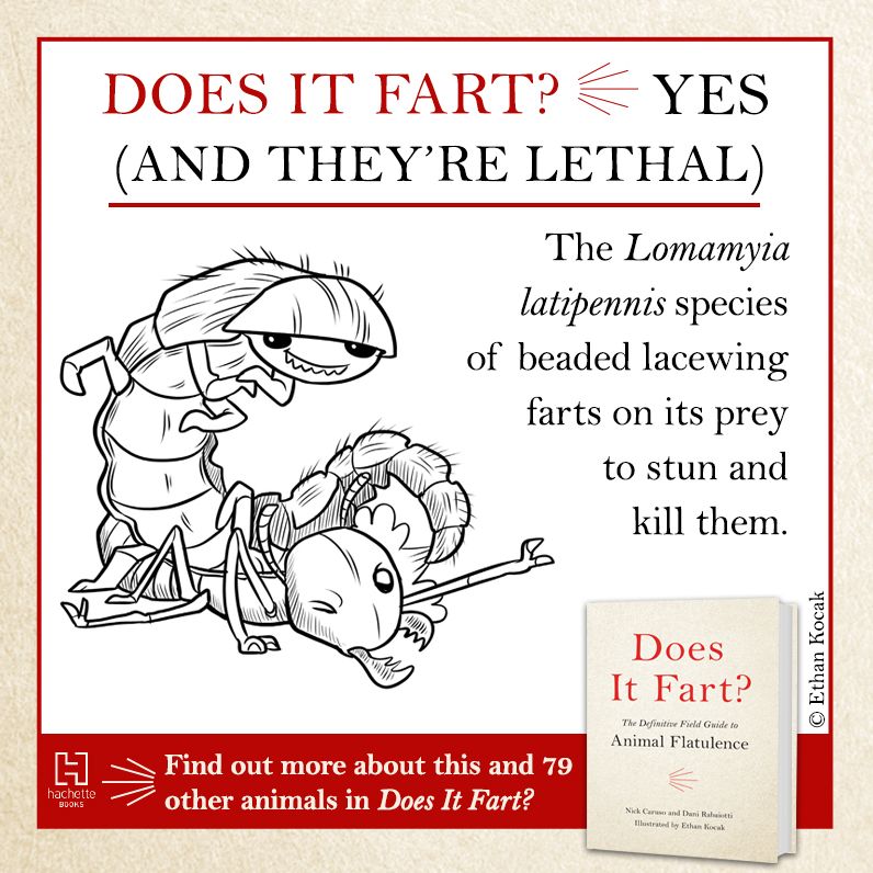 Does It Fart?: The Definitive Field Guide to Animal Flatulence