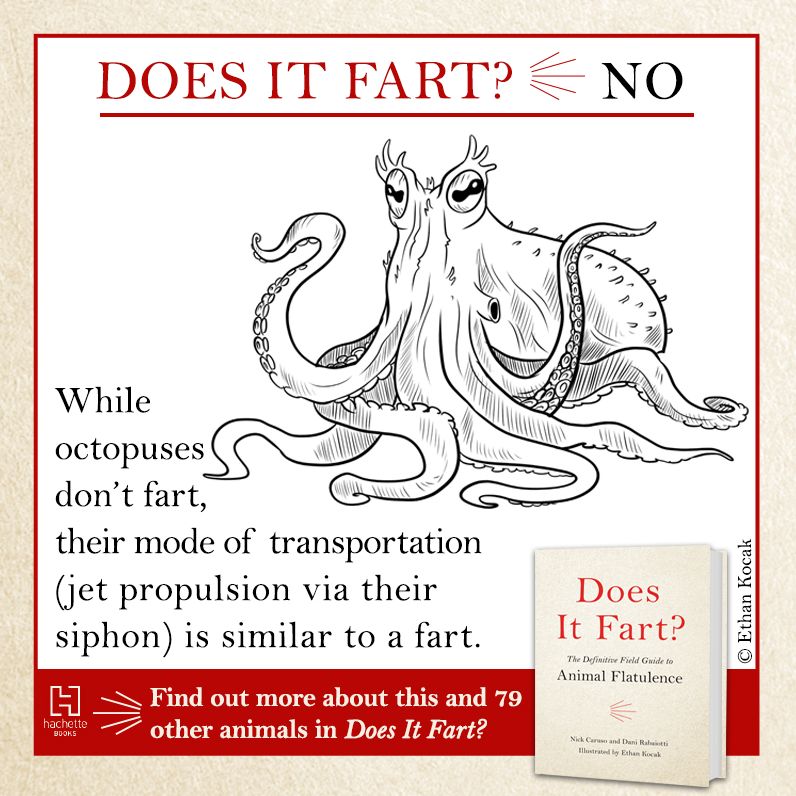 Does It Fart?: The Definitive Field Guide to Animal Flatulence
