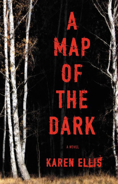 A Map of the Dark