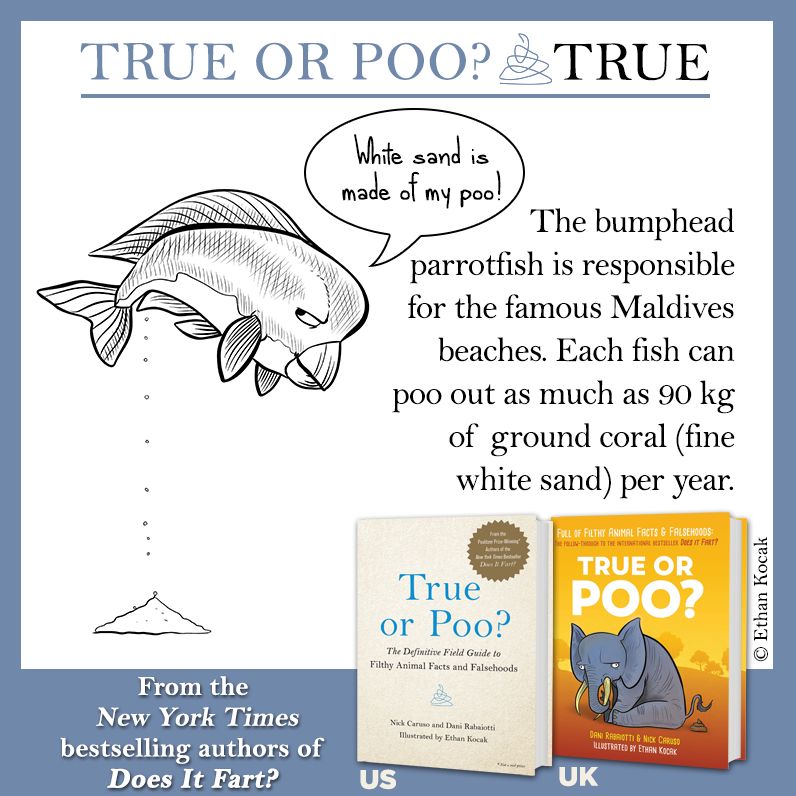 True or Poo?: The Definitive Field Guide to Filthy Animal Facts and Falsehoods