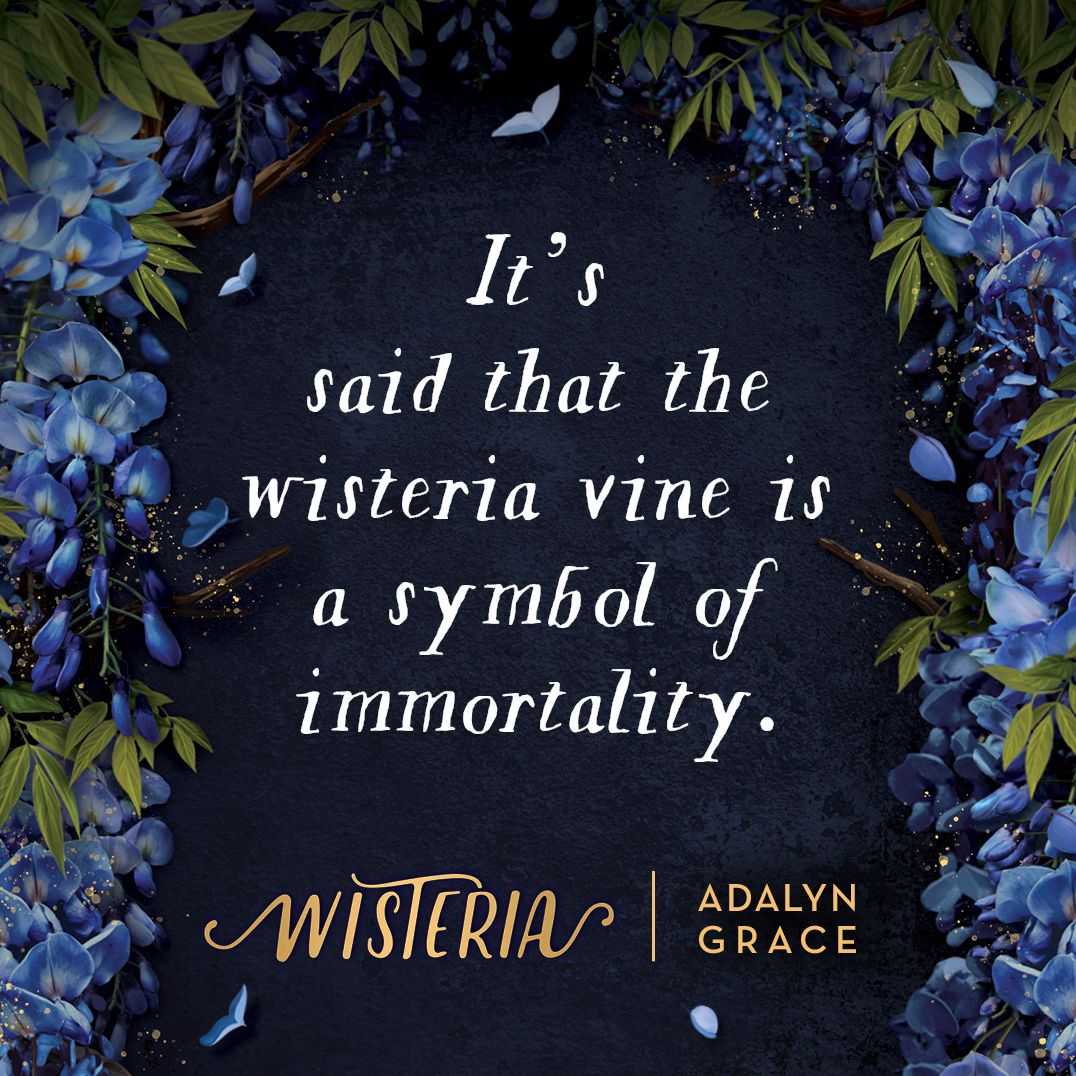 Wisteria