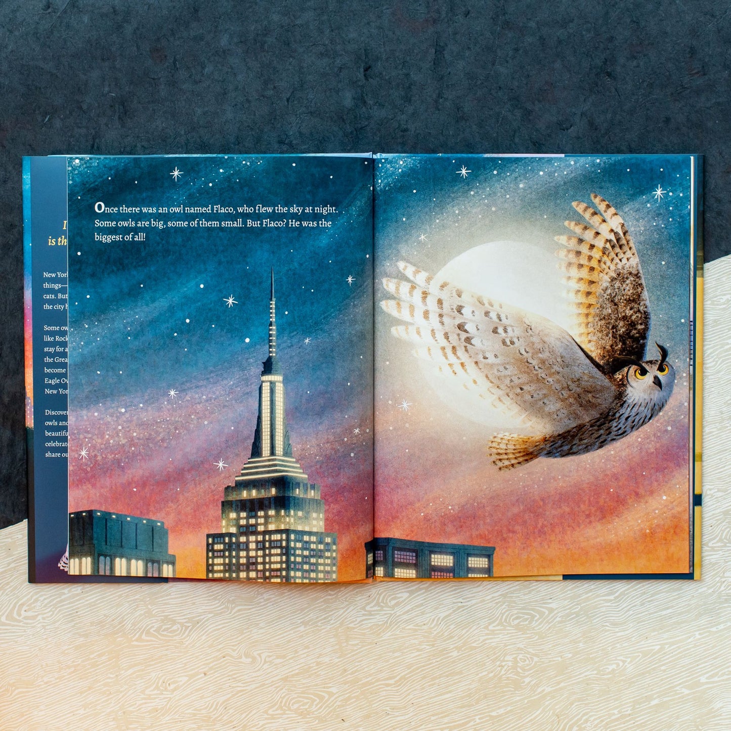 The Urban Owls: How Flaco and Friends Made the City Their Home