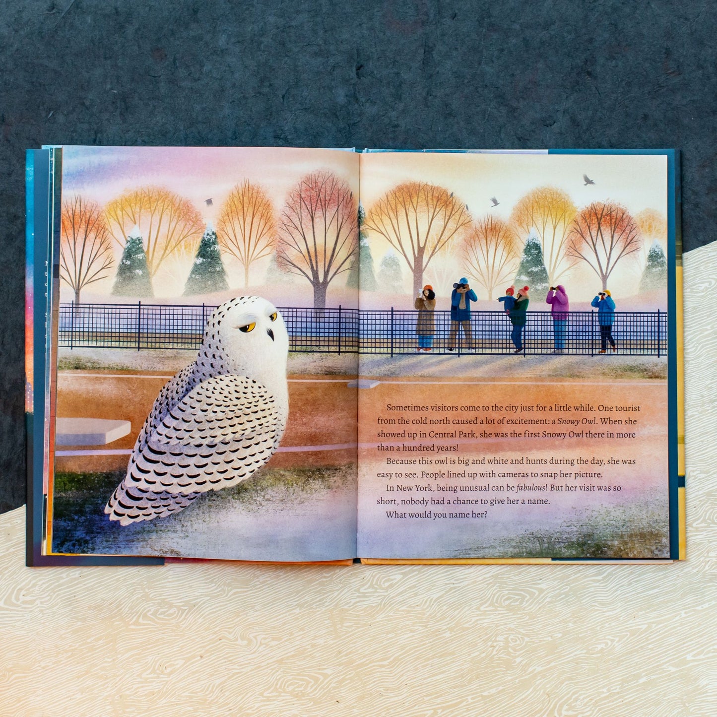 The Urban Owls: How Flaco and Friends Made the City Their Home