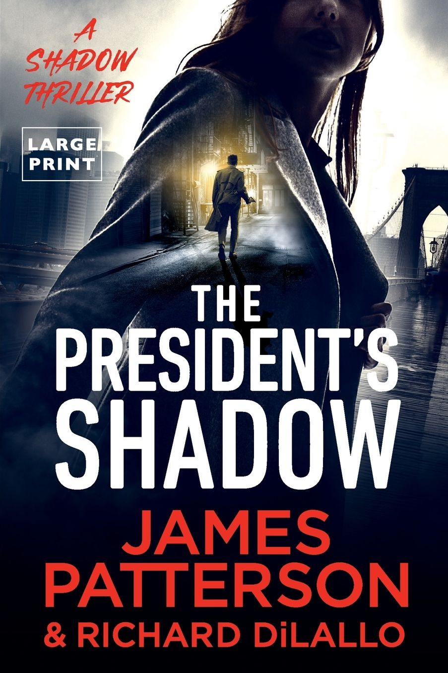 The President's Shadow: A Shadow Thriller