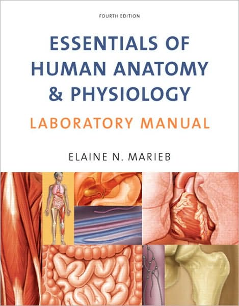 Essentials of Human Anatomy and Physiology Laboratory Manual