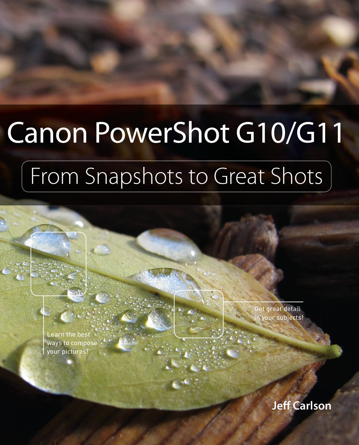 Canon PowerShot G10 / G11: From Snapshots to Great Shots