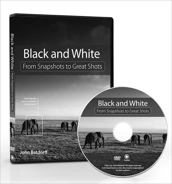 Black and White: From Snapshots to Great Shots