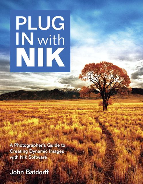 Plug In with Nik: A Photographer's Guide to Creating Dynamic Images with Nik Software