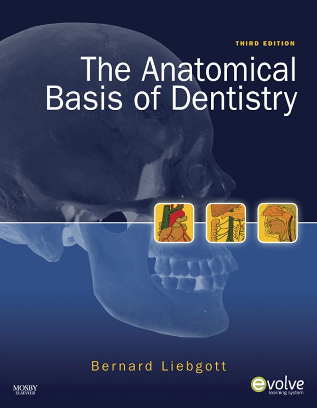 The Anatomical Basis of Dentistry - E-Book