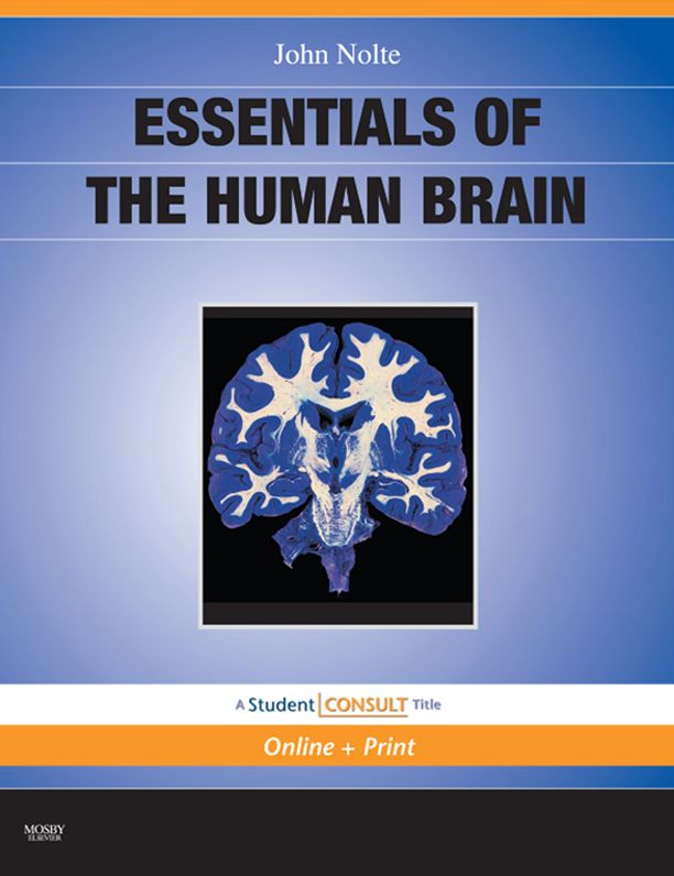 Essentials of the Human Brain E-Book: With STUDENT CONSULT Online Access