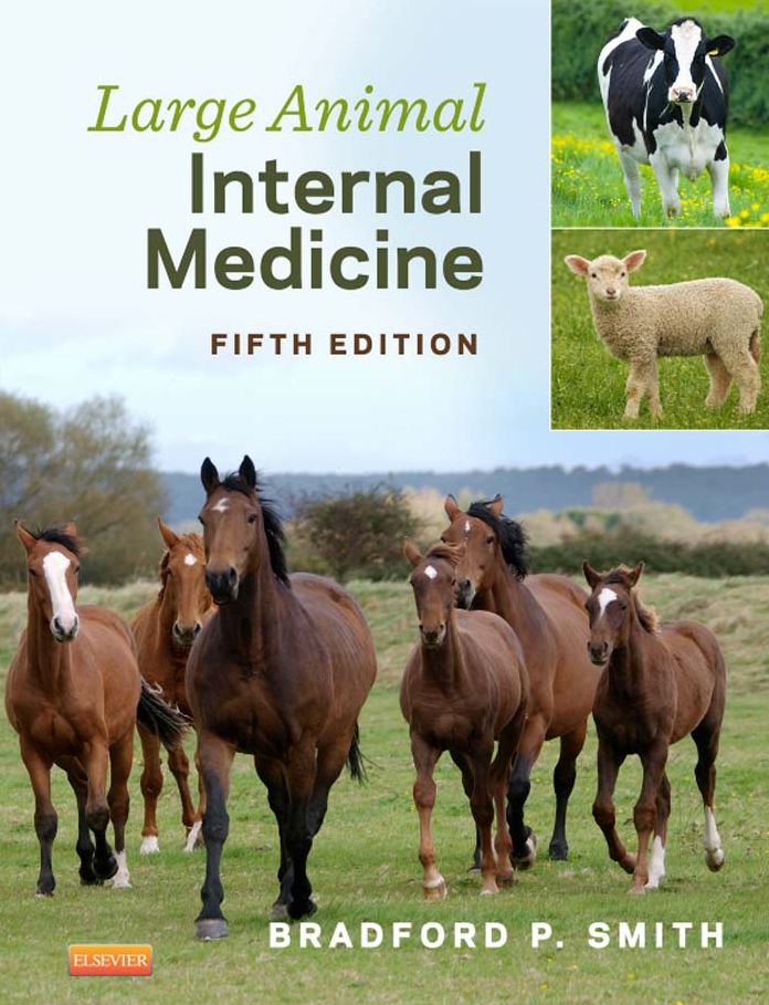 Large Animal Internal Medicine - E-Book