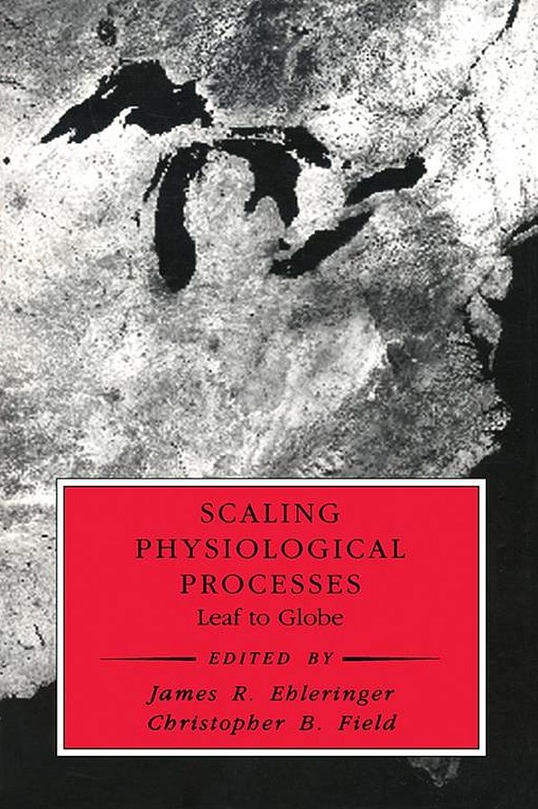 Scaling Physiological Processes: Leaf to Globe