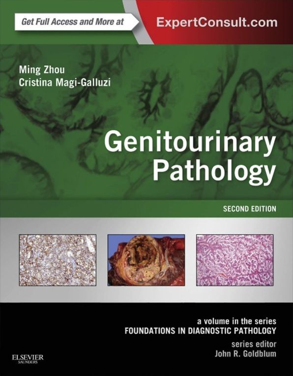 Genitourinary Pathology E-Book: A Volume in the Series: Foundations in Diagnostic Pathology