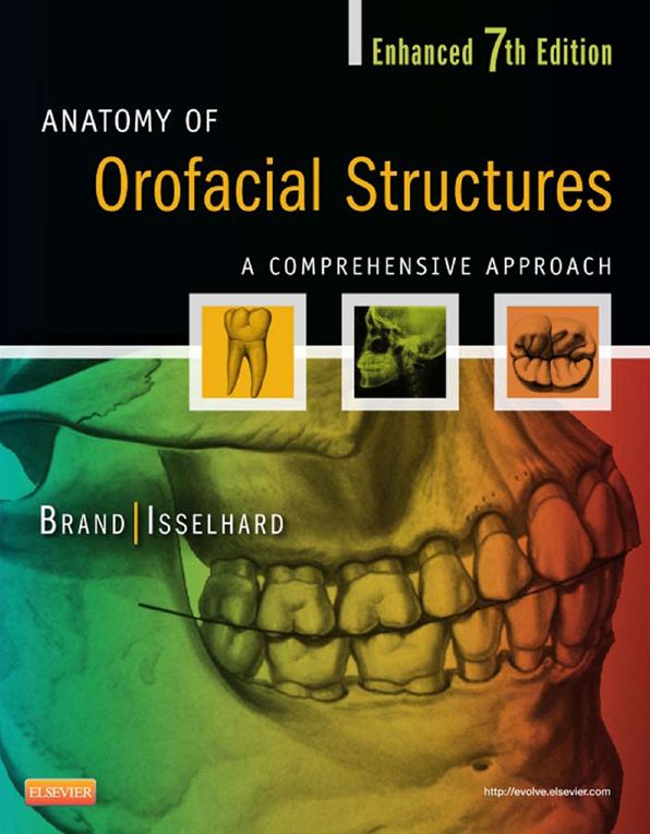 Anatomy of Orofacial Structures - Enhanced 7th Edition - E-Book: A Comprehensive Approach