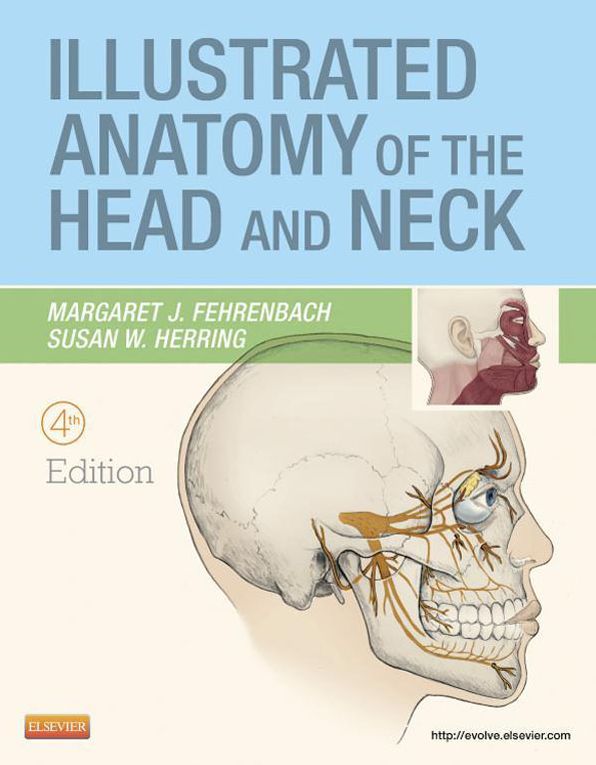 Illustrated Anatomy of the Head and Neck - E-Book