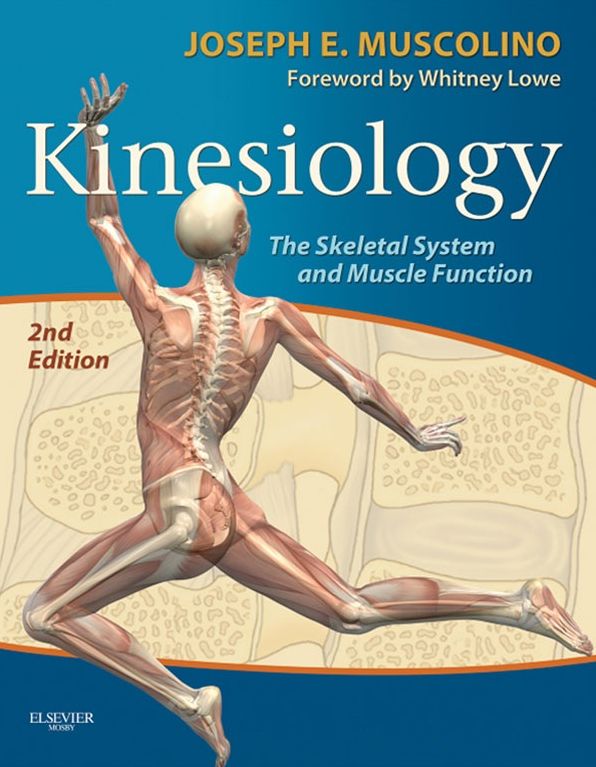 Kinesiology - E-Book: The Skeletal System and Muscle Function