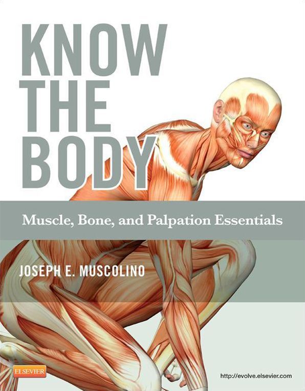 Know the Body: Muscle, Bone, and Palpation Essentials - E-Book