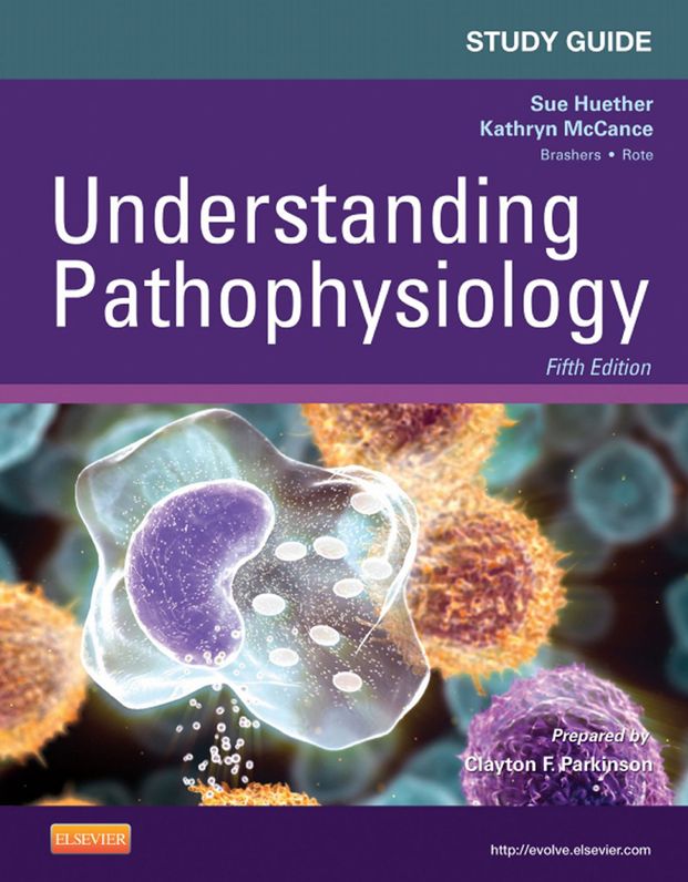 Study Guide for Understanding Pathophysiology - E-Book