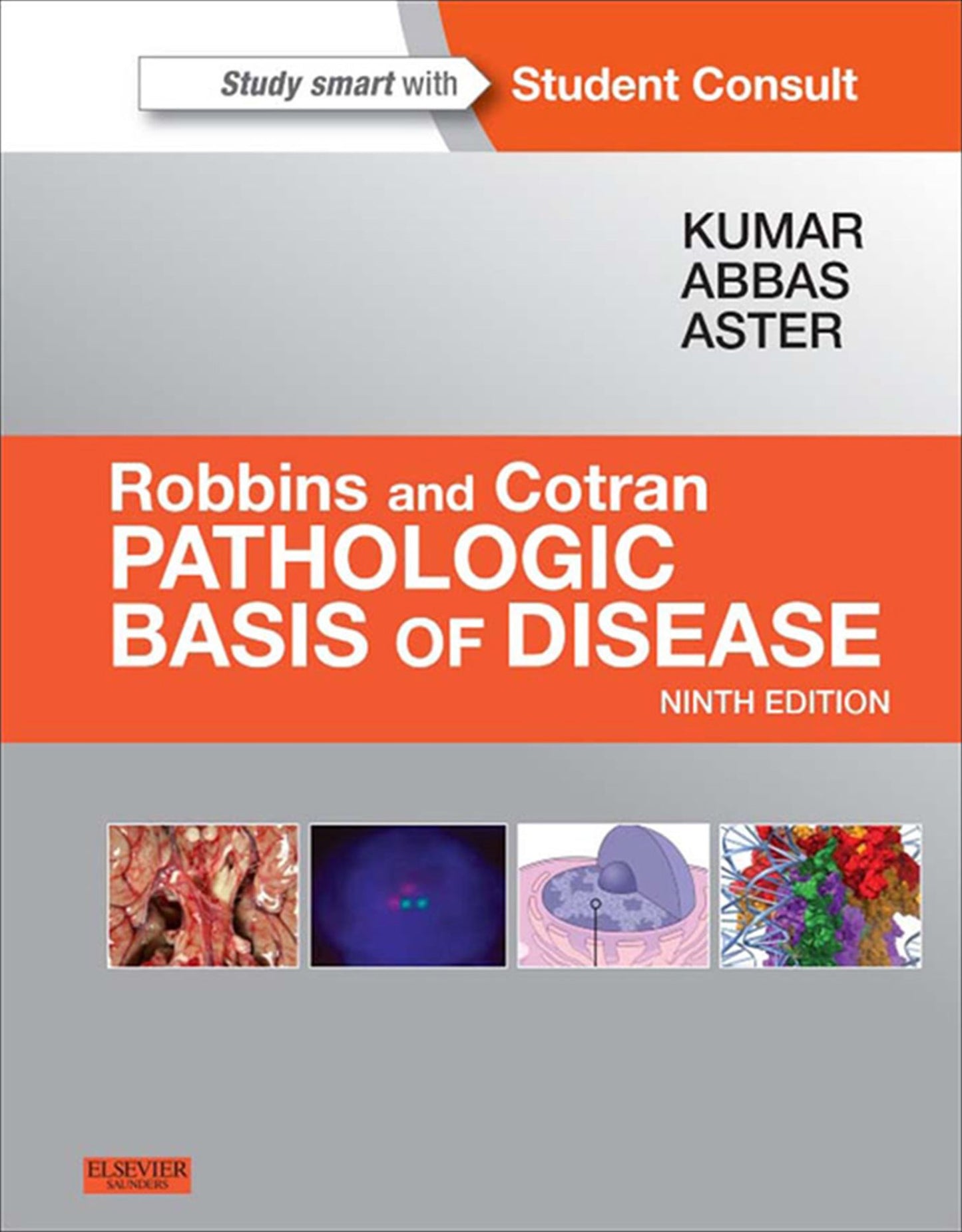 Robbins and Cotran Pathologic Basis of Disease, Professional Edition E-Book