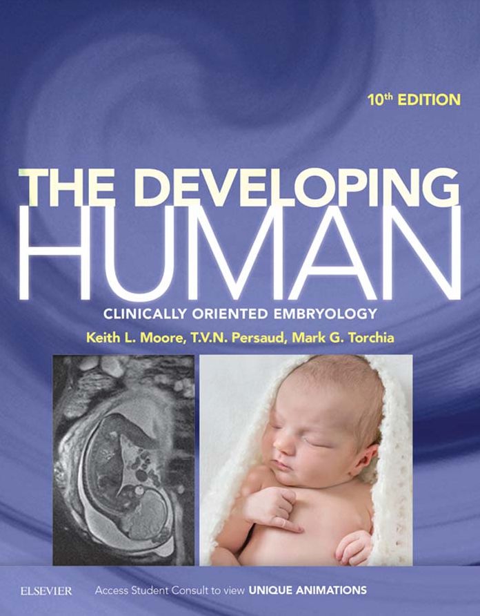The Developing Human E-Book: Clinically Oriented Embryology