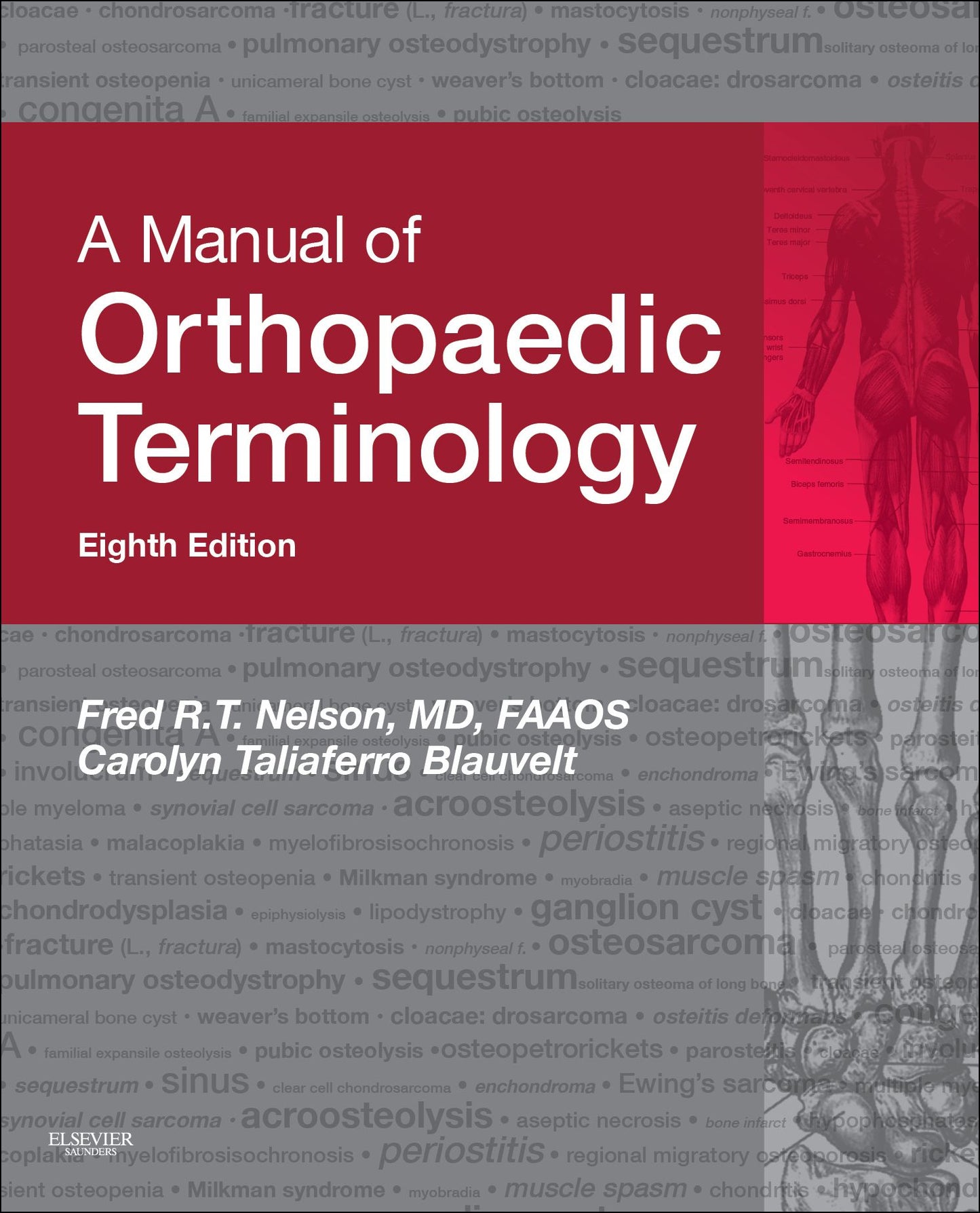 A Manual of Orthopaedic Terminology E-Book