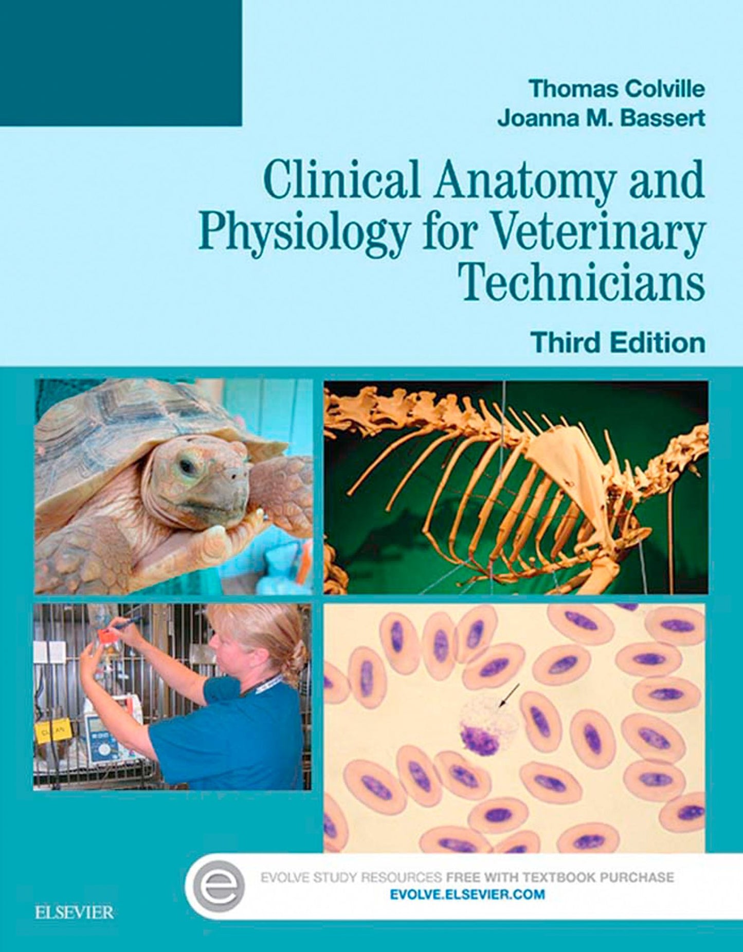Clinical Anatomy and Physiology for Veterinary Technicians - E-Book