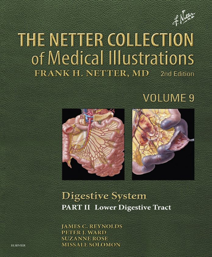 The Netter Collection of Medical Illustrations: Digestive System: Part II - Lower Digestive Tract E-Book
